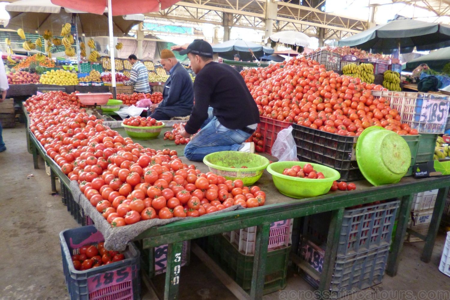 Agadir Half Day Tour-Market-AATT