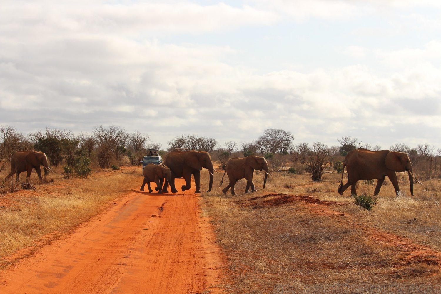 attractions in Tsavo,Kenya