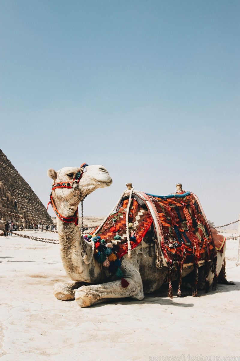 all-inclusive Egypt tours