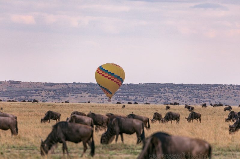 Mara Hot Air Ballooning